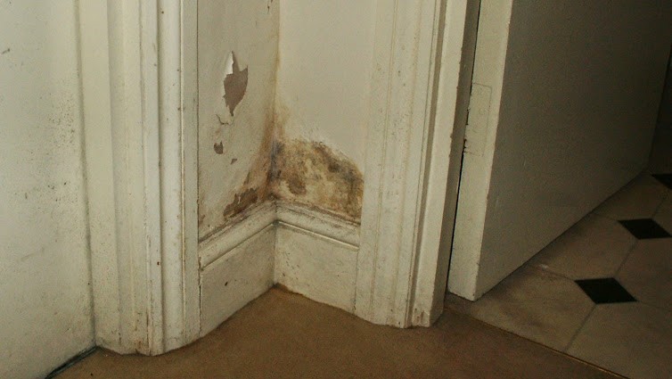 Seek Perfect Damp Proofing Solutions Using Services Of Damp Proofing Windsor