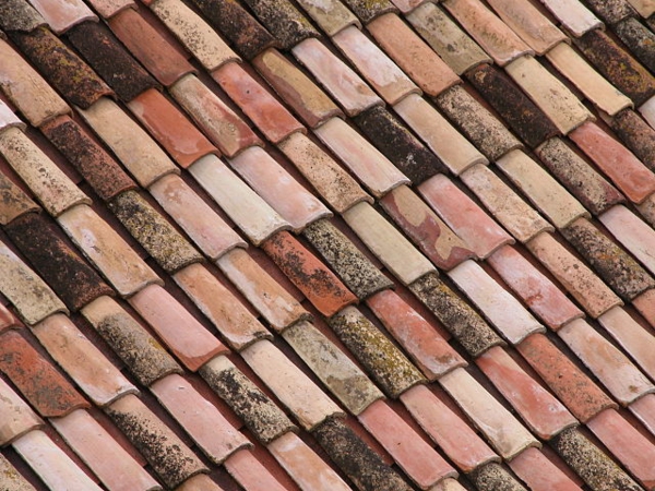 Effects Of Different Types Of Roof Tiles On Home Designs_600x450