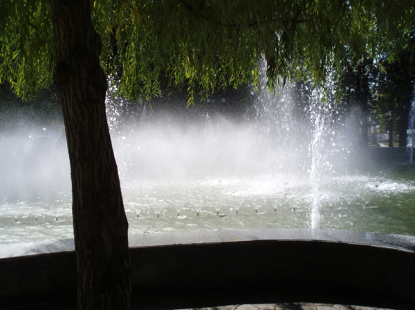 willow-and-fountain_600x449