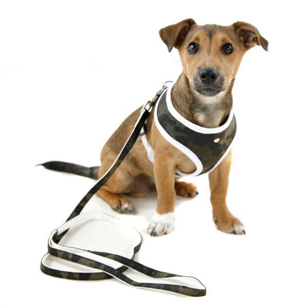 Dog Harness