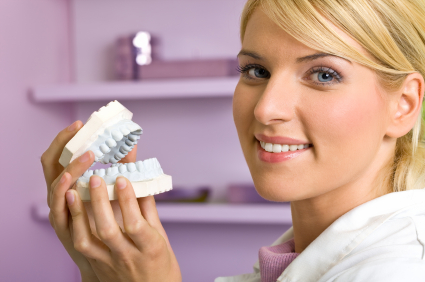 Dentist female showing reproduction model teeth