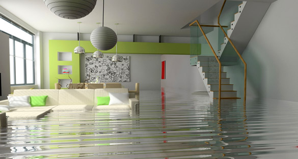 Is Your Home Protected Against Flood Damage. 5 Preventive Measures