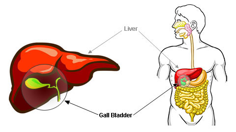 bladder-health