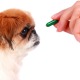 Helpful Tips On How To Buy Pet Meds