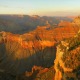 An Abundance Of Sightseeing Tours Available At The Grand Canyon