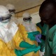 Warning Symptoms Of Malignant 'Ebola Fever "