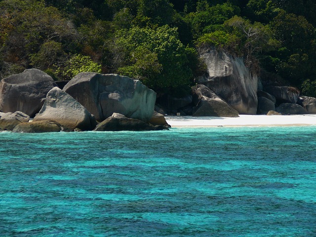 The Similans