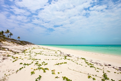 Turks and Caicos Islands - The Perfect Honeymoon Destination