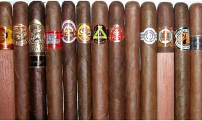 Understand The Importance Of Different Kinds Of Cigar Wrappers Varieties