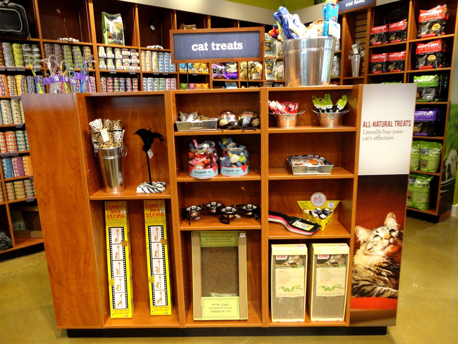 Are You Interested In Buying Organic Pet Food?