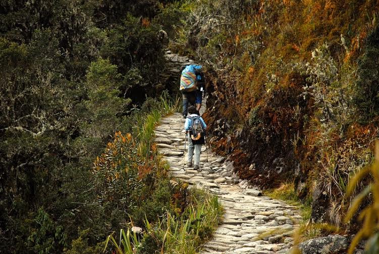 INCA JUNGLE TRAIL