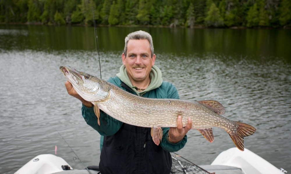 How To Make The Most Of British Columbia's Pike Bounty