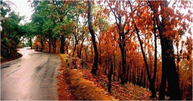 The Top 3 Must-visit Famous Places In Ranikhet