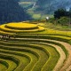 Many Beautiful Landscapes In Vietnam Ranked In Top Of The World
