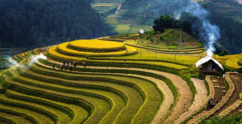 Many Beautiful Landscapes In Vietnam Ranked In Top Of The World