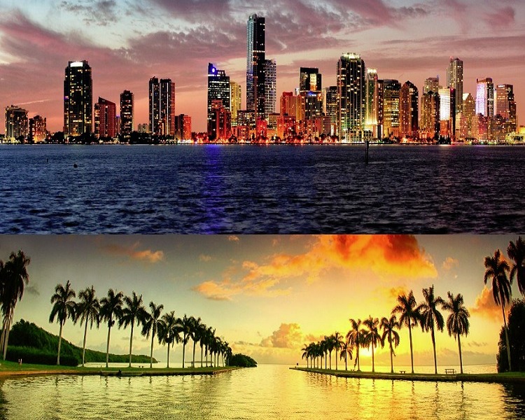 Guided Sightseeing Tours In Miami