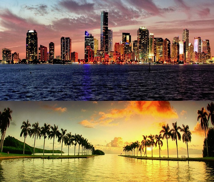 Guided Sightseeing Tours In Miami