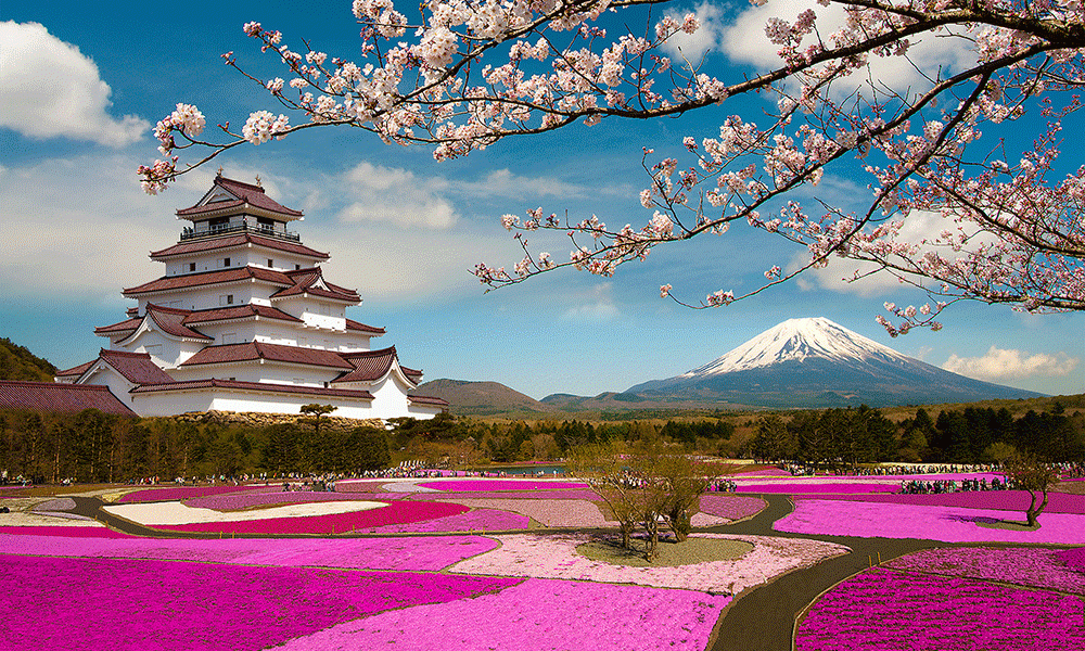 How To Plan A Perfect Honeymoon In Japan