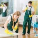 Tips To Find Insurance For Your Cleaning Business