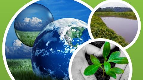 ISO 14001 Environmental Management