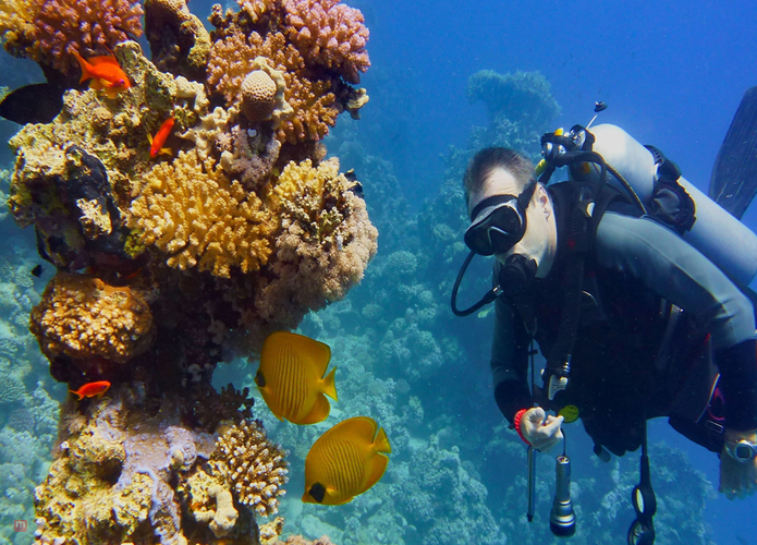 The Great Barrier Reef, Australia