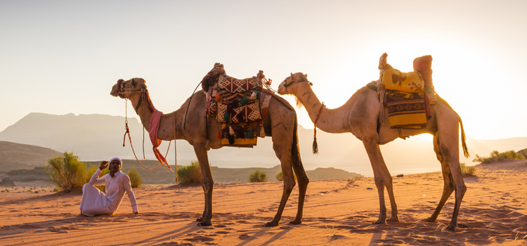Over Night Camel Safari &amp; Camping In Jaisalmer