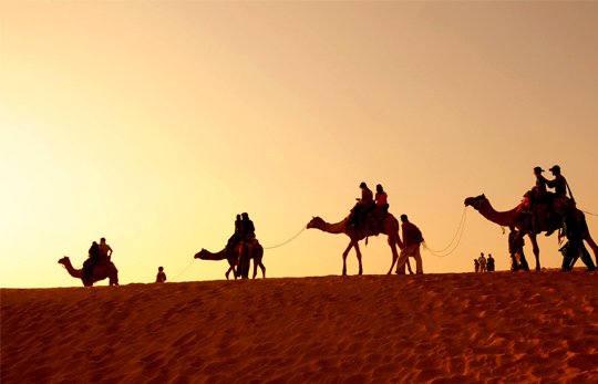 Which Is Best Travel Company For Jaisalmer Tour