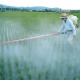 Different Chemicals Used In Pesticides And Their Safe Use