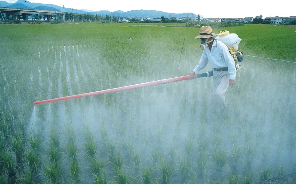 Different Chemicals Used In Pesticides And Their Safe Use