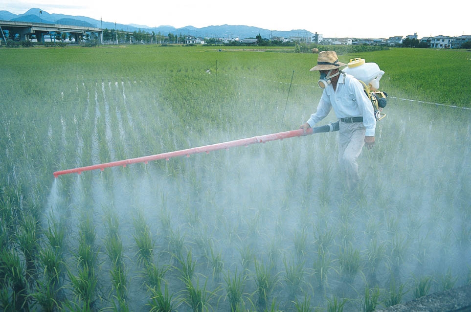 Different Chemicals Used In Pesticides And Their Safe Use