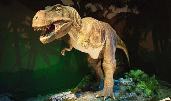 Top 5 Dinosaur Museums In The World-2