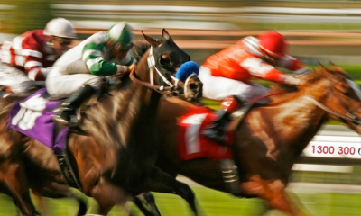 Horse Racing On Sportsmanship