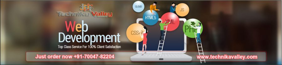 Professional Web Designing and Web Development Company in India