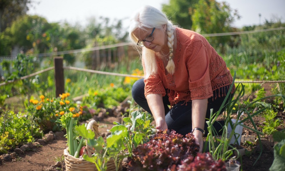 How to Increase Your Vegetable Garden Yield This Year